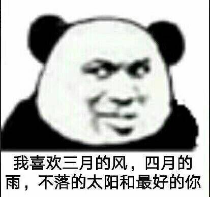 系列 高糊表情包 喵咪 熊猫头 gif 金馆长 斗图 文字系列 厉害了 装逼