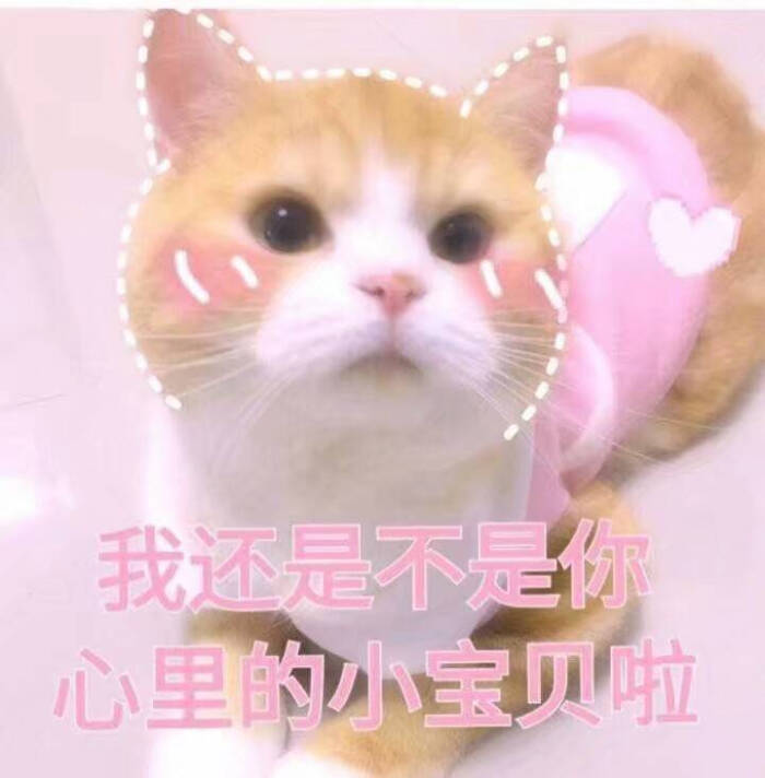 猫猫表情包我还是不是你心里的小宝贝