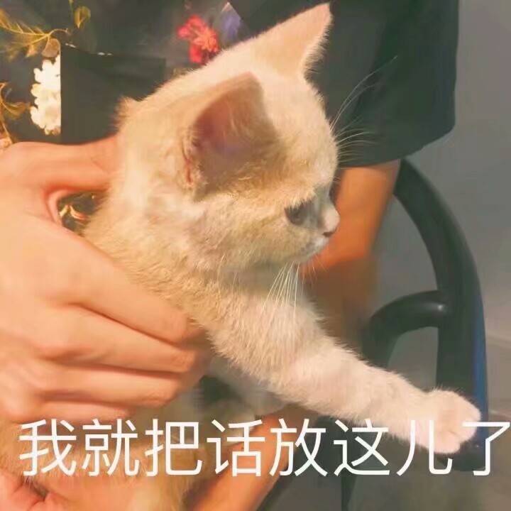 猫猫表情包我就把话放这儿了