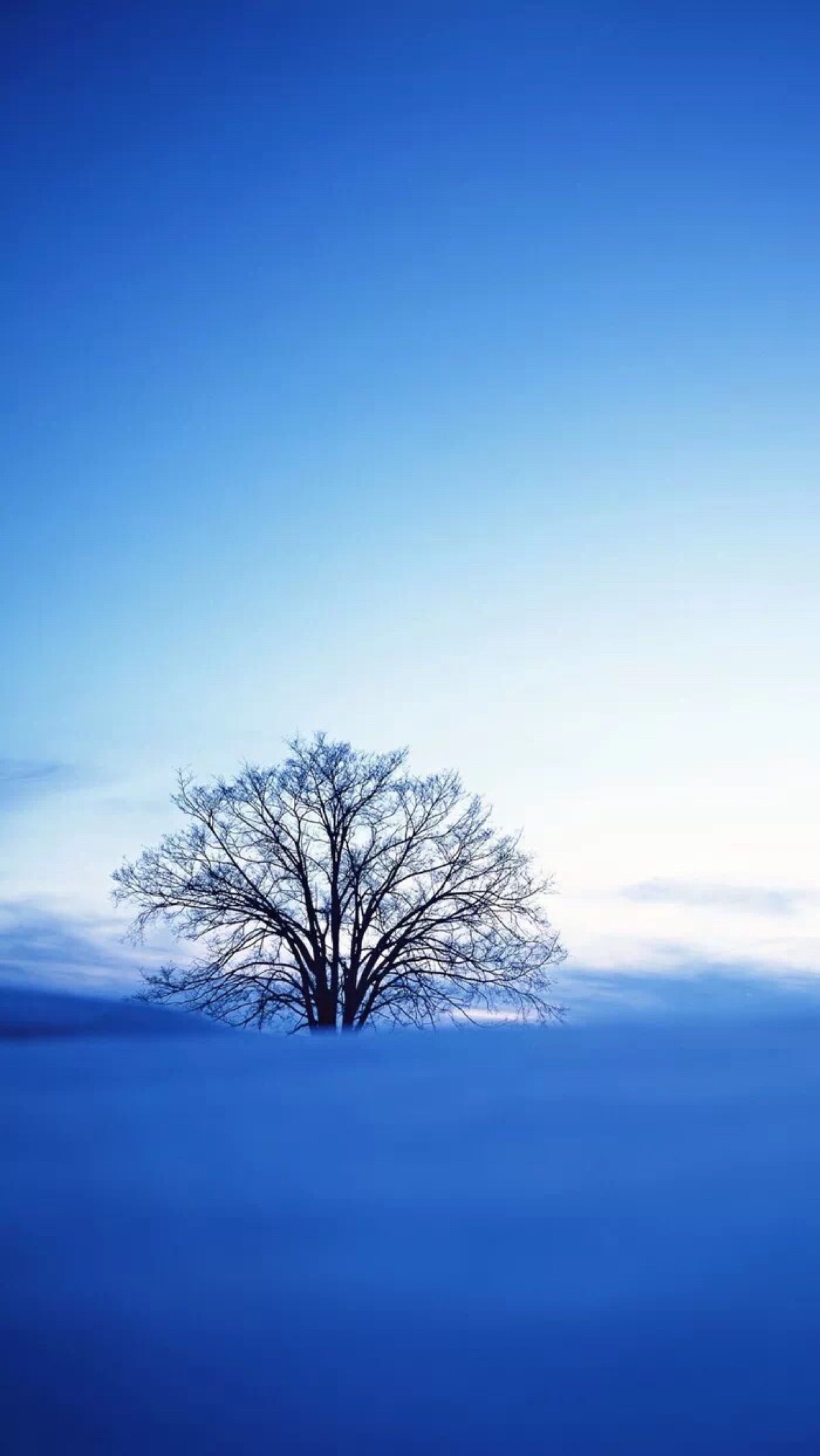 天空 雪景