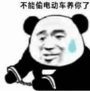 不能偷电动车养你了