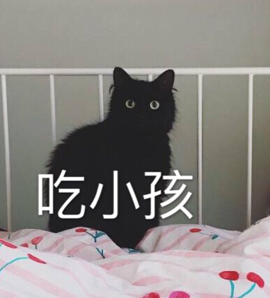 猫表情包 吃小孩