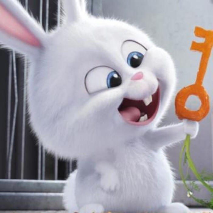 动画电影《爱宠大机密》兔子:小白\/雪球(snow
