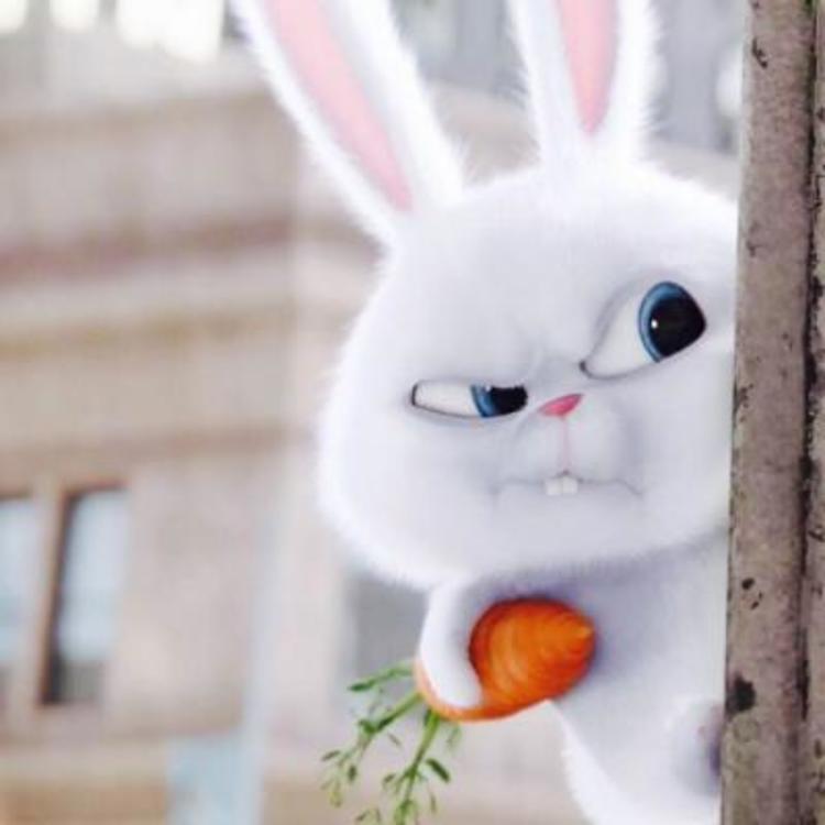 动画电影《爱宠大机密》兔子:小白/雪球(snowball)