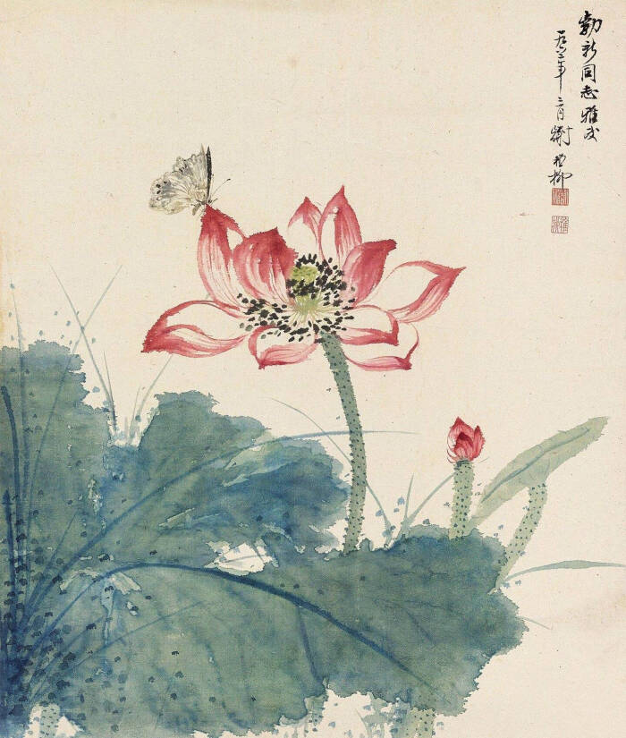 谢稚柳 绘 荷花