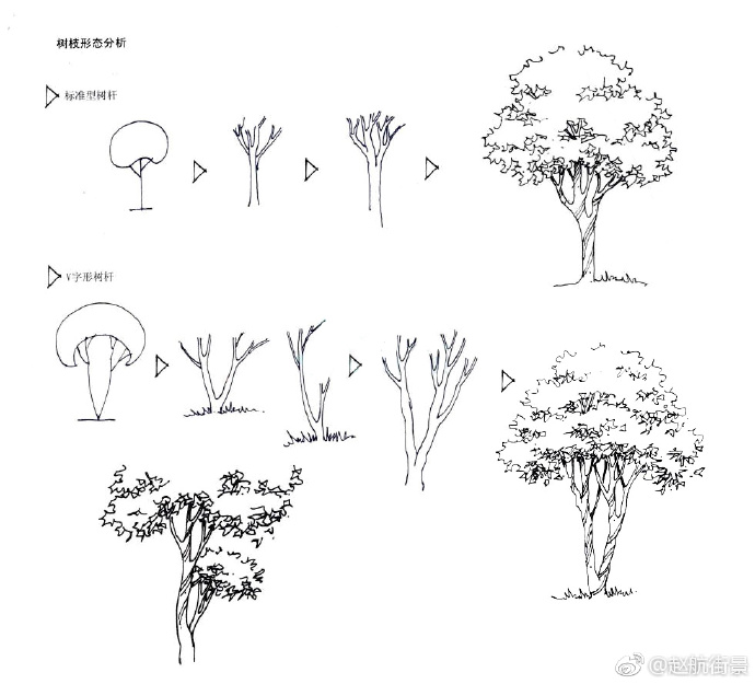 手绘表现中树的画法 (作者:@赵航街景 )