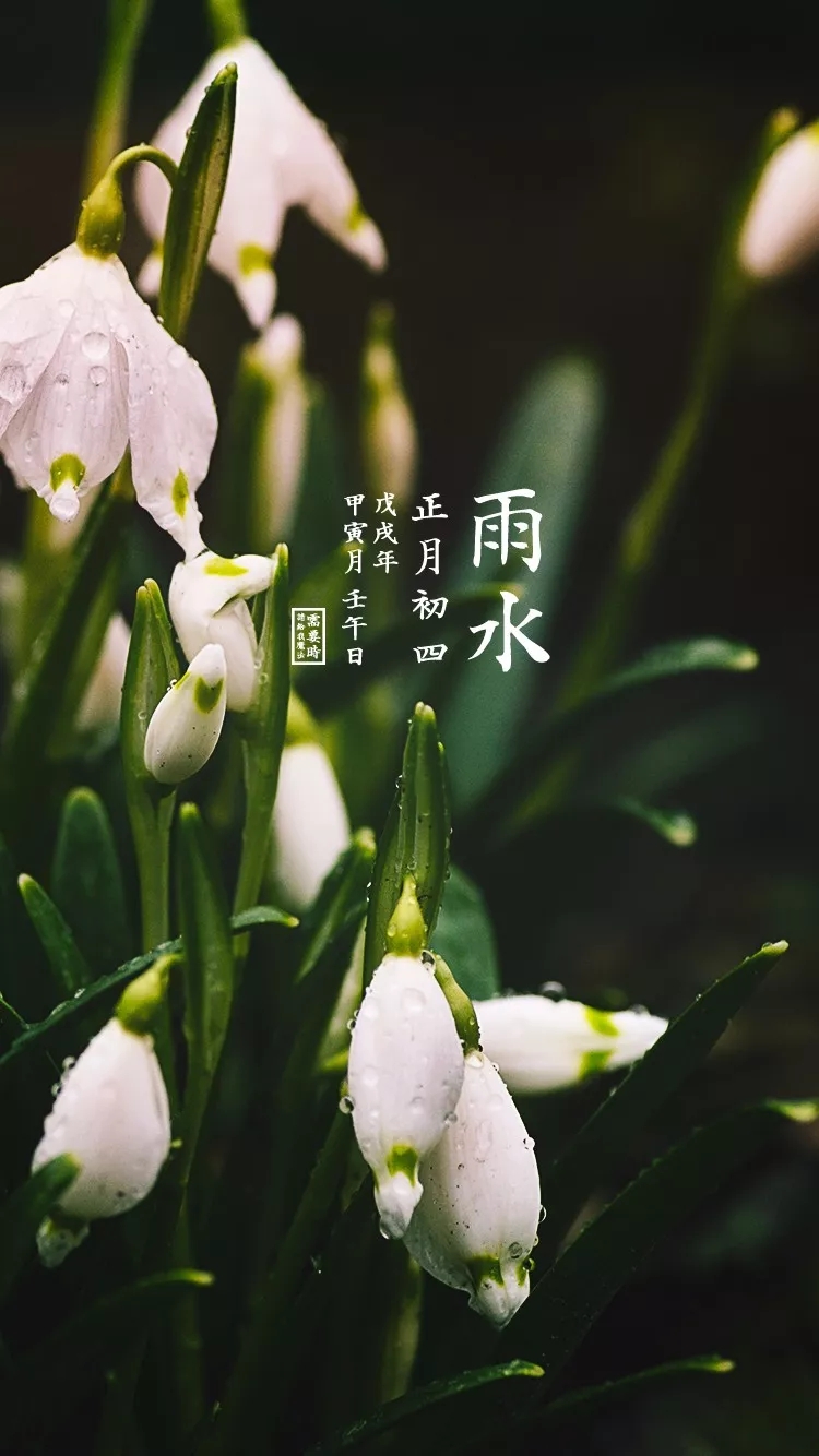 雨水