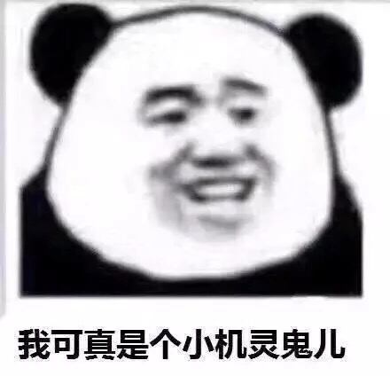 我可真是个小机灵鬼儿 表情包