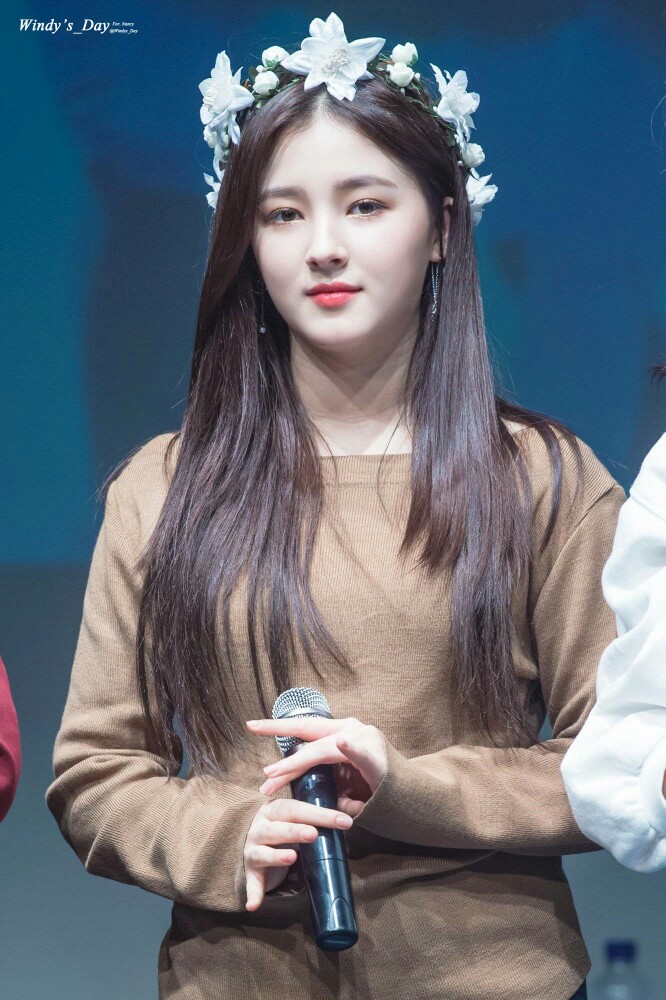 nancy 