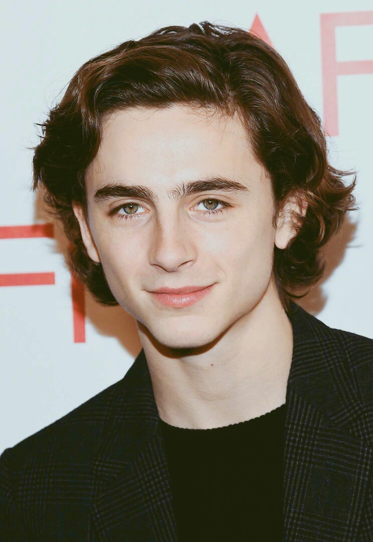 提莫西·查拉梅timothée chalamet