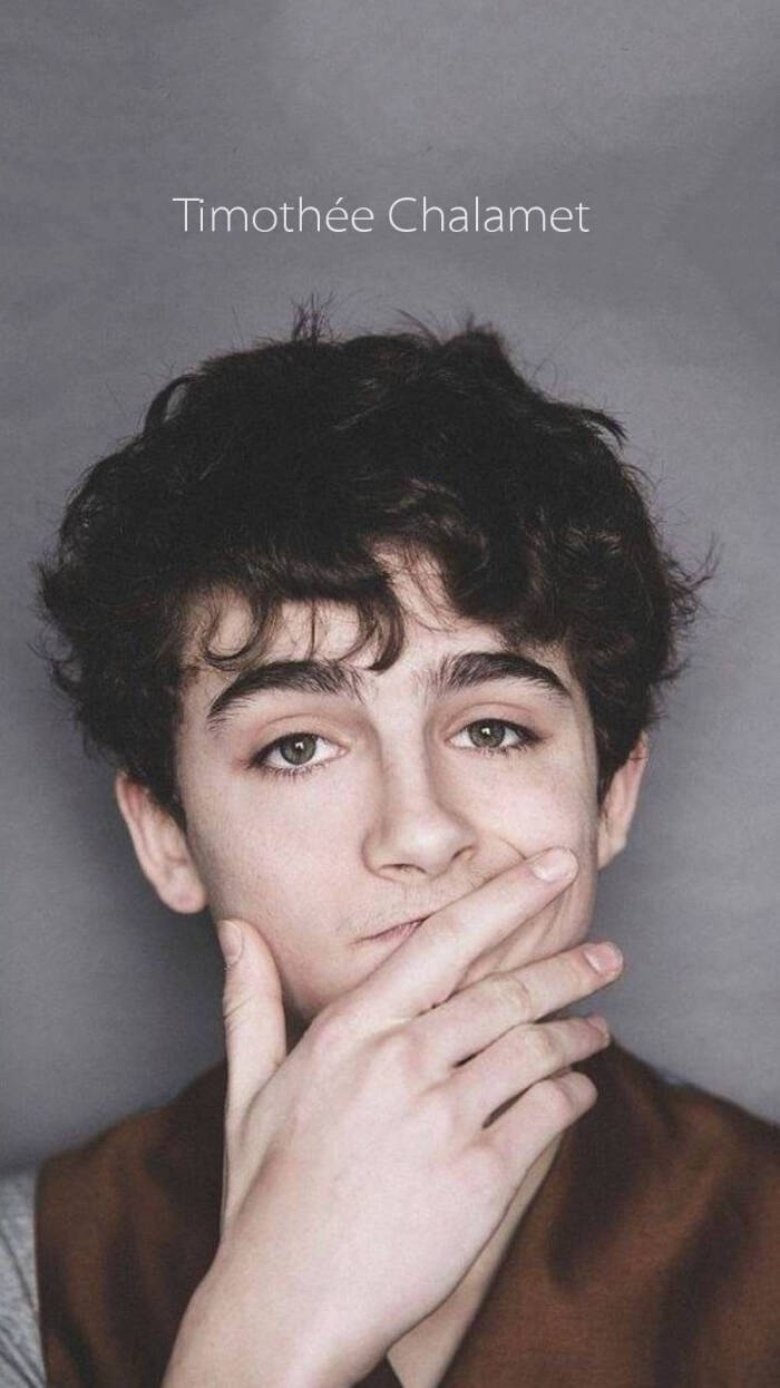 提莫西·查拉梅timothée chalamet