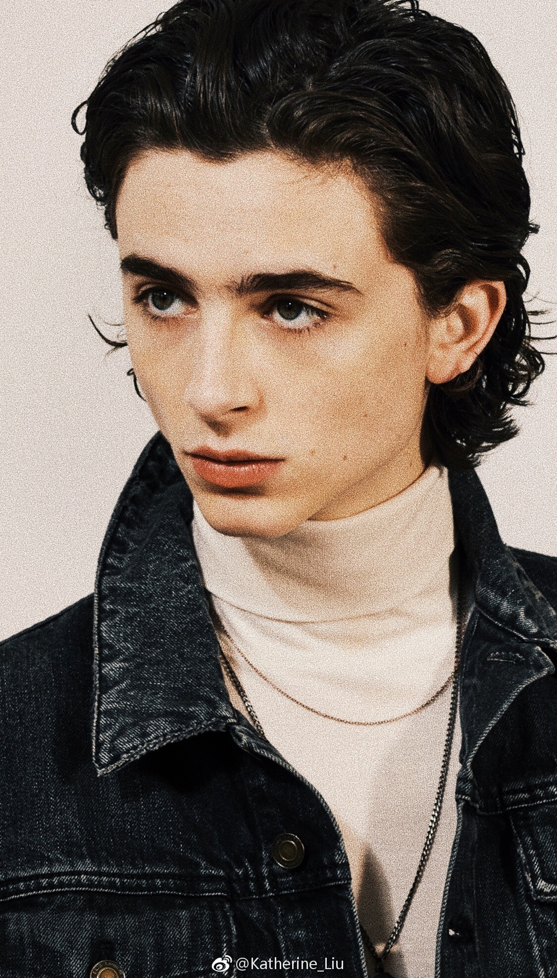 提莫西·查拉梅timothée chalamet