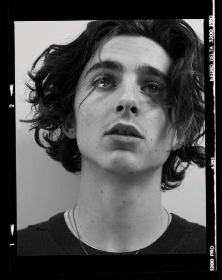 提莫西·查拉梅timothéechalamet