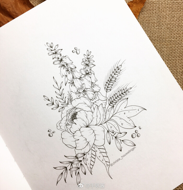 黑白画,花卉