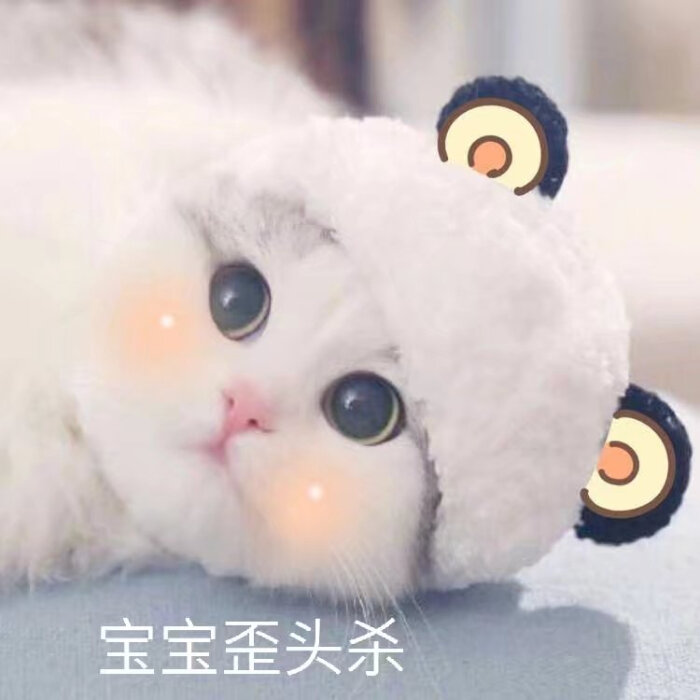 猫咪表情包