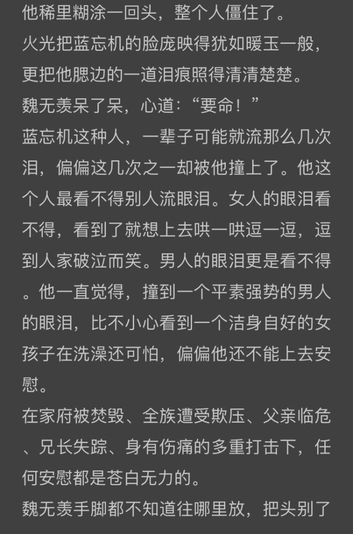 只羡忘羡不羡仙 蓝忘机 魏无羡