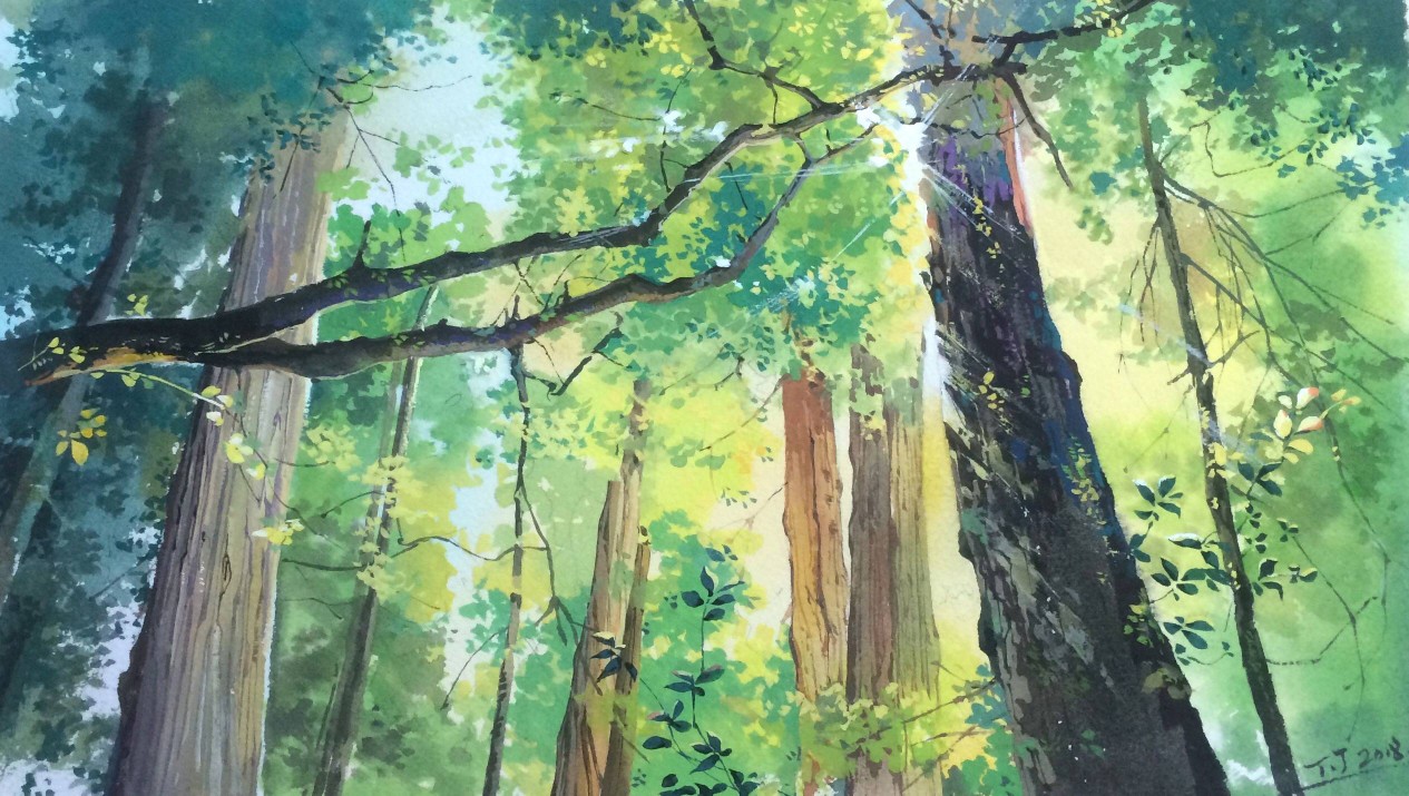 手绘插画