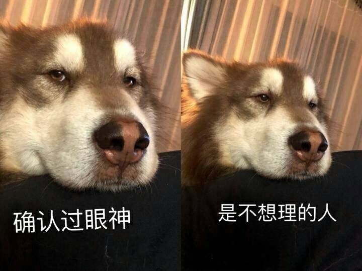 是不想理的人