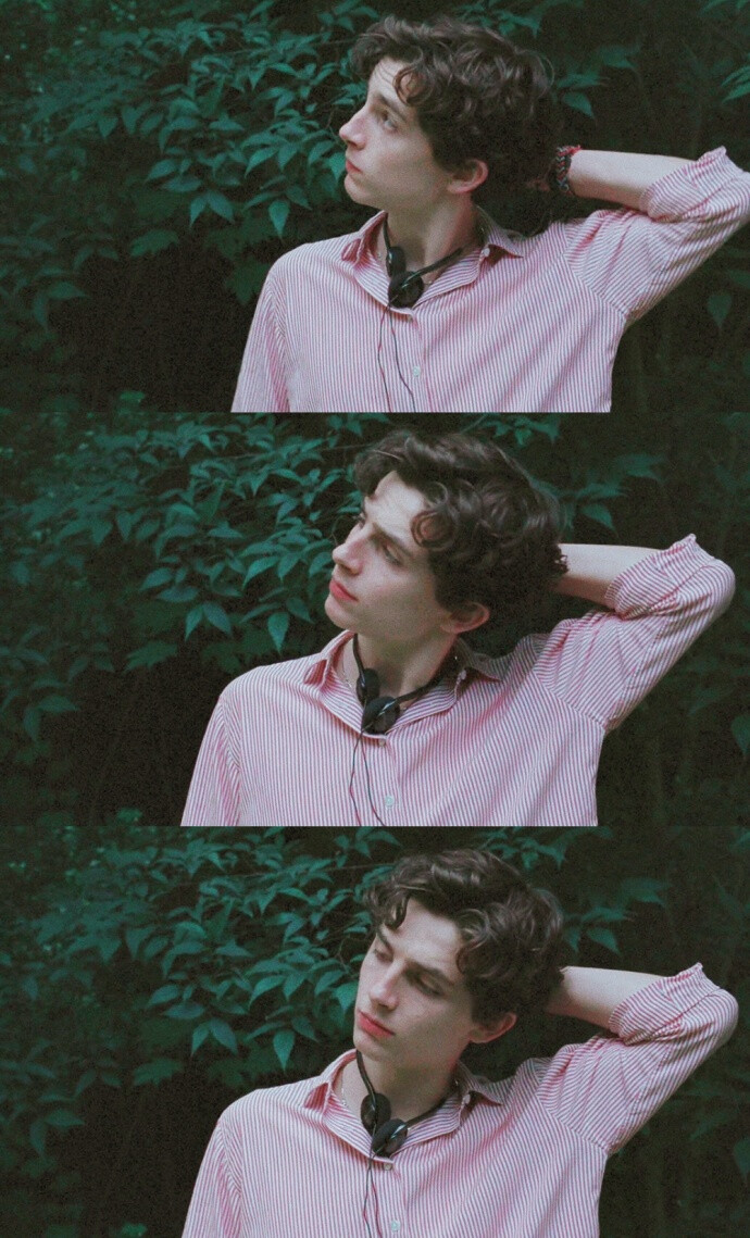 蒂莫西·柴勒梅德timothéechalamet(请以你的名字呼唤我)