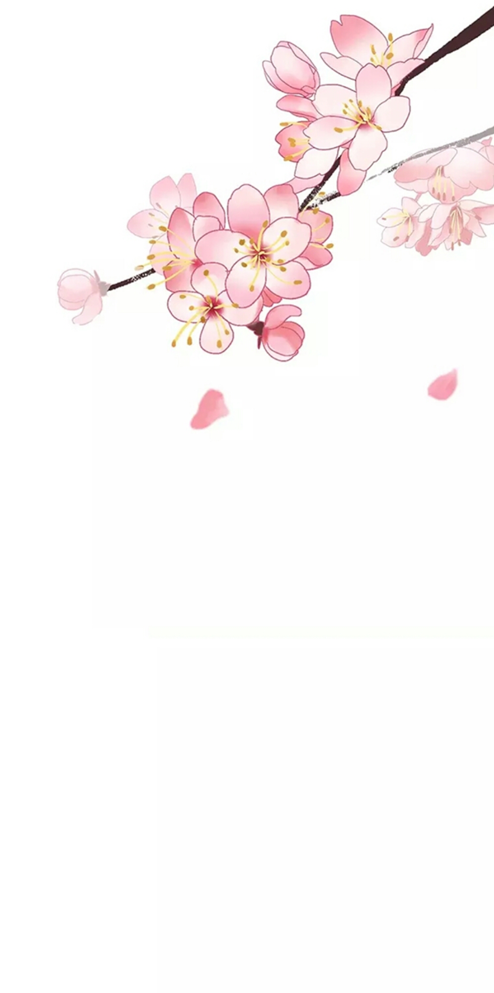 桃花,壁纸