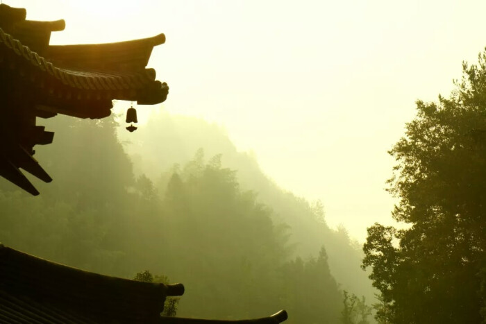 假如你心存怨恨,因为怨恨是心灵的伤口,无明是可悲的瑕疵,心灵可悲的