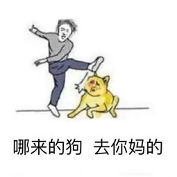今天的表情包原图精选~晚上好