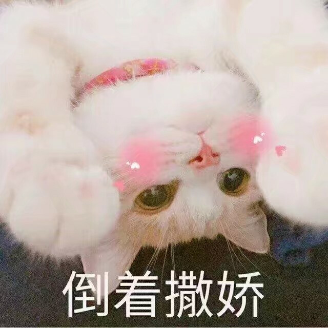 萌萌的小猫表情包,撒娇卖萌,可爱mua