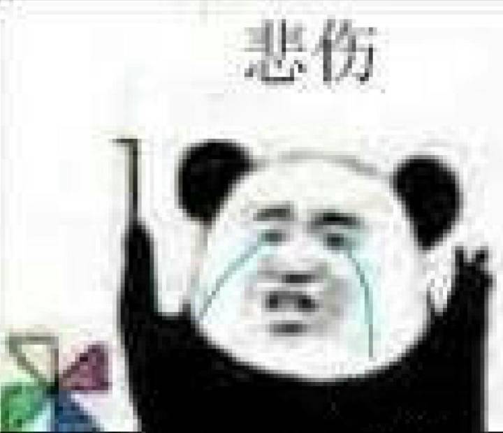 表情包 熊猫头 悲伤