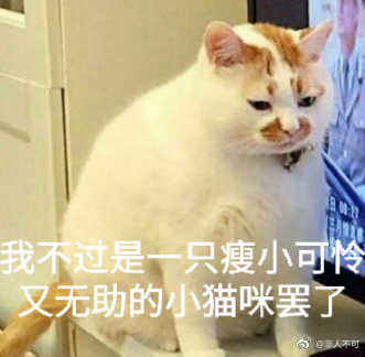 猫咪表情包 我不过是一只瘦小可怜又无助的小猫咪罢了