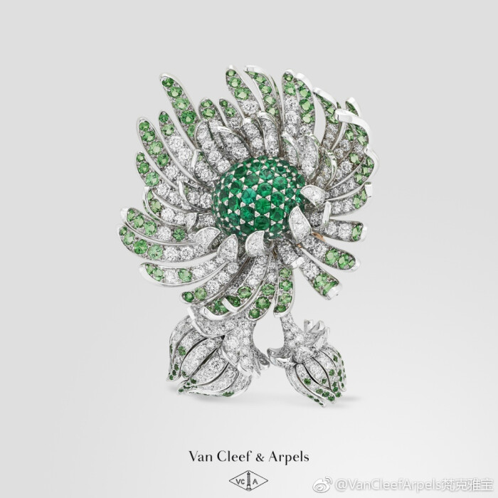 vancleefarpels梵克雅宝