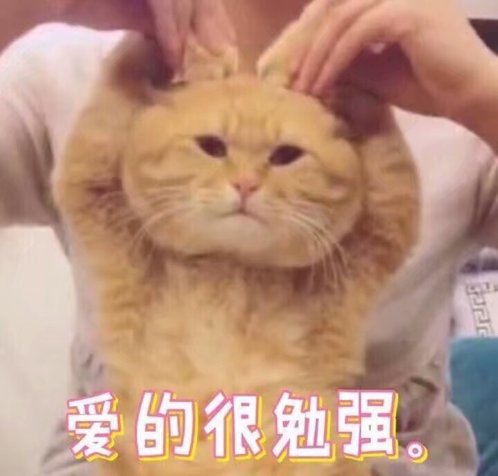 猫咪表情包 爱的很勉强