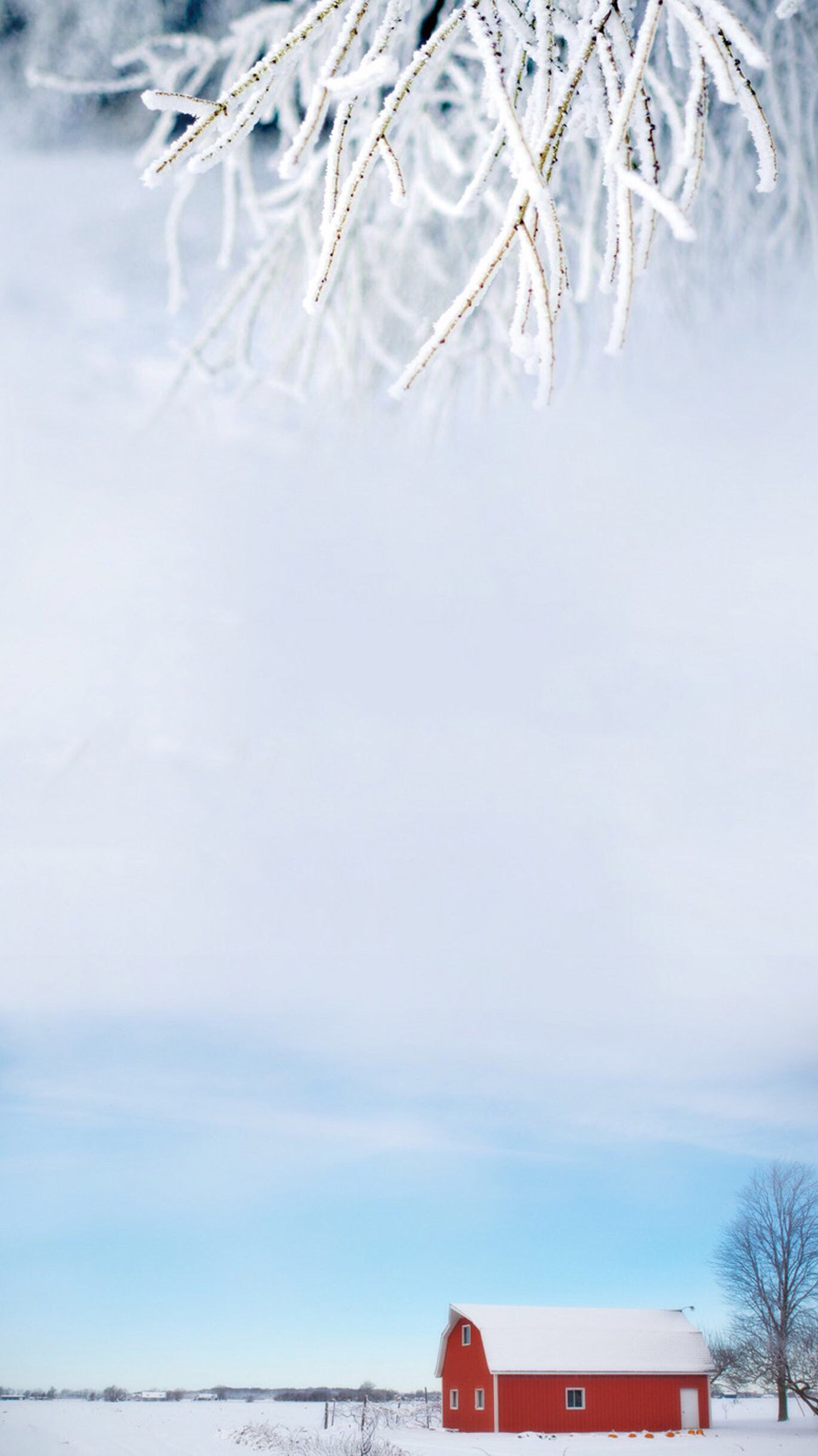 冬之雪,风景壁纸