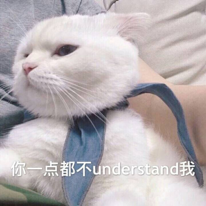 表情包哟～猫 你一点都不understand我