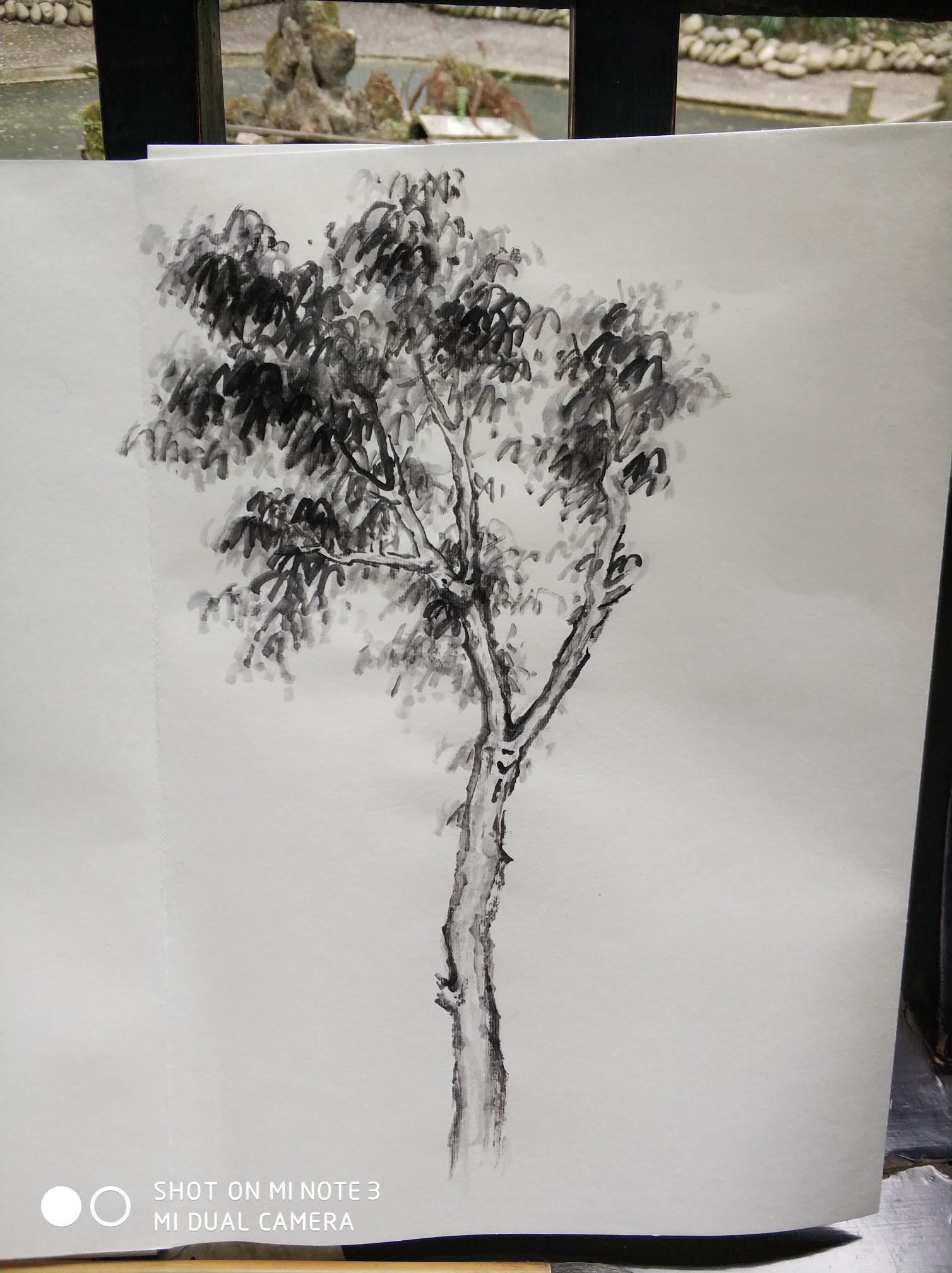 第一次国画写生杂树,学会了写生需要取舍,为以后自己创作积累素材
