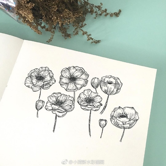 手绘黑白花朵