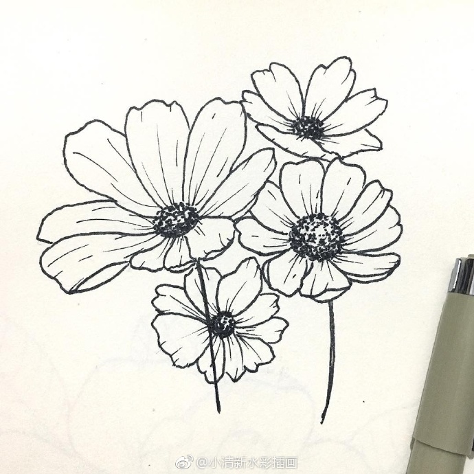 手绘黑白花朵