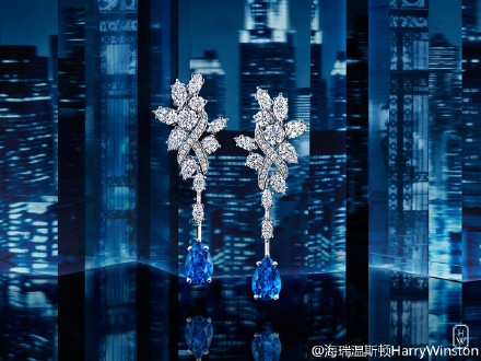 海瑞温斯顿(harry winston)54颗璀璨钻石锦簇设计的secret cluster