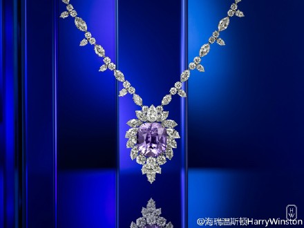 海瑞温斯顿(harry winston)无与伦比的星光之夜须有无无比华美的珍稀