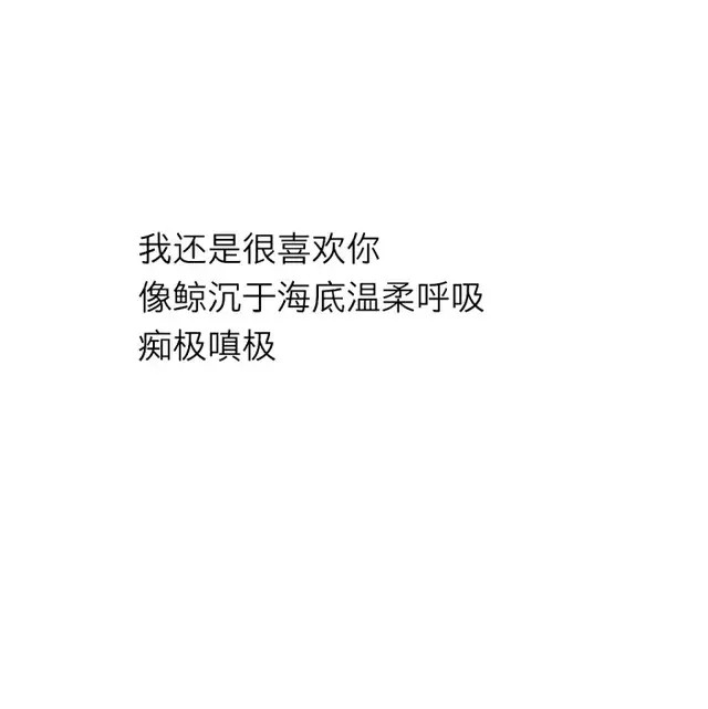 我爱你不后悔