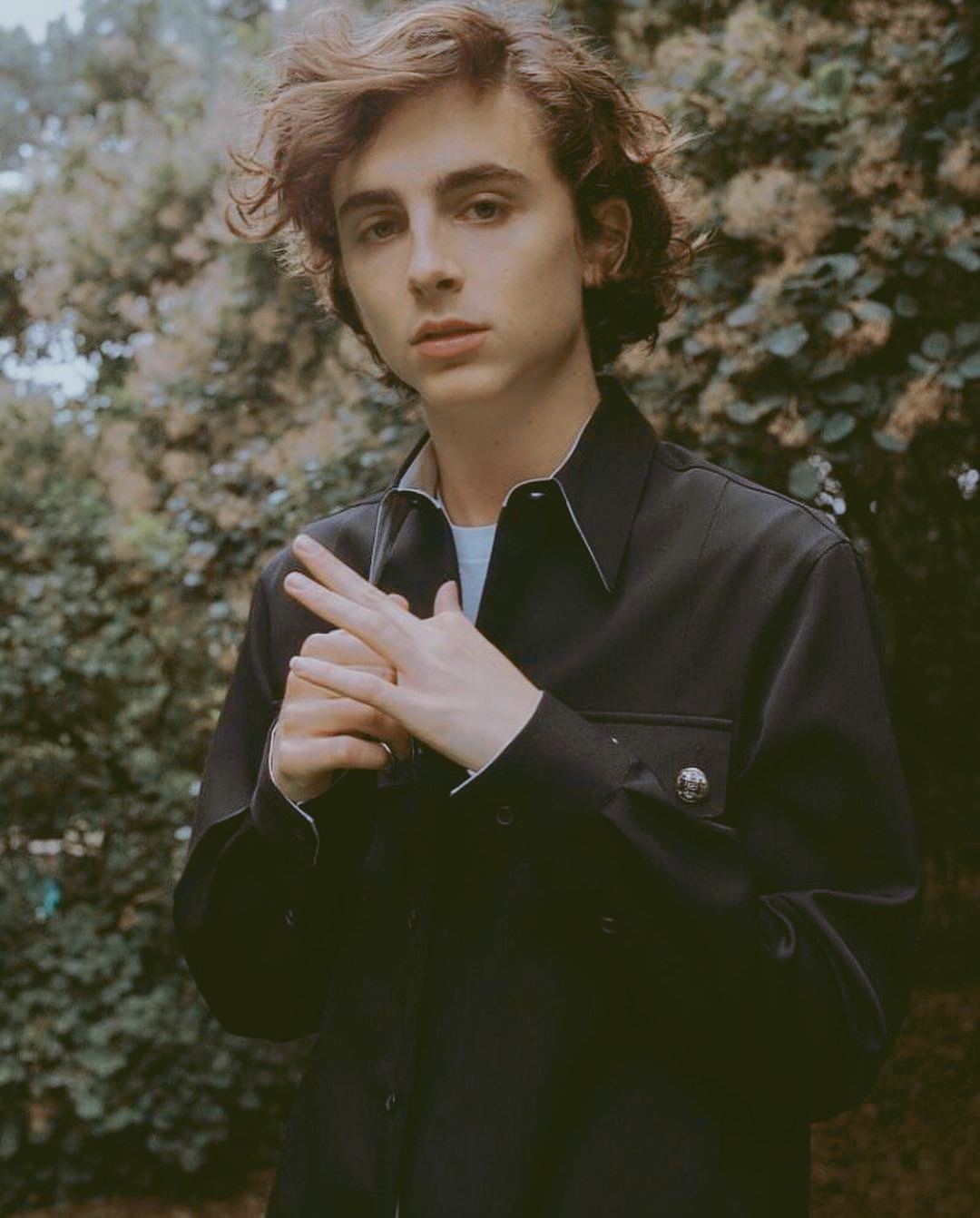 蒂莫西·柴勒梅德timothéechalamet(请以你的名字呼唤我)