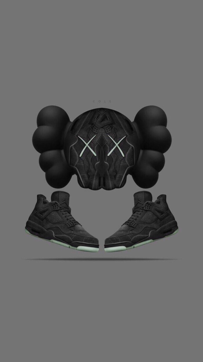 pidan|kaws