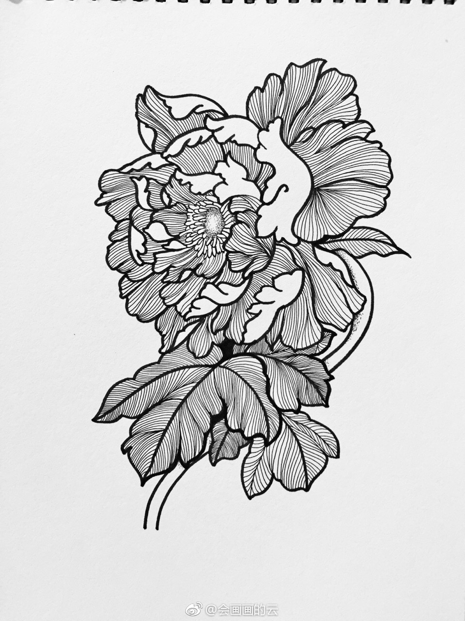 黑白画 