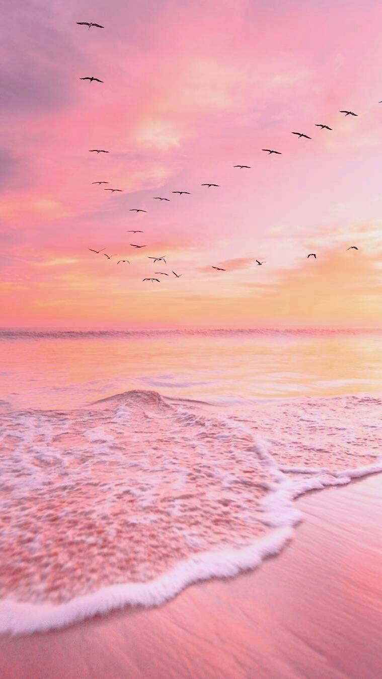 粉色 大海