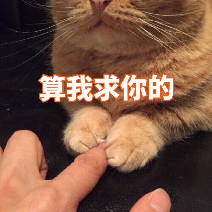 橘猫表情包 卖萌 可爱表情包