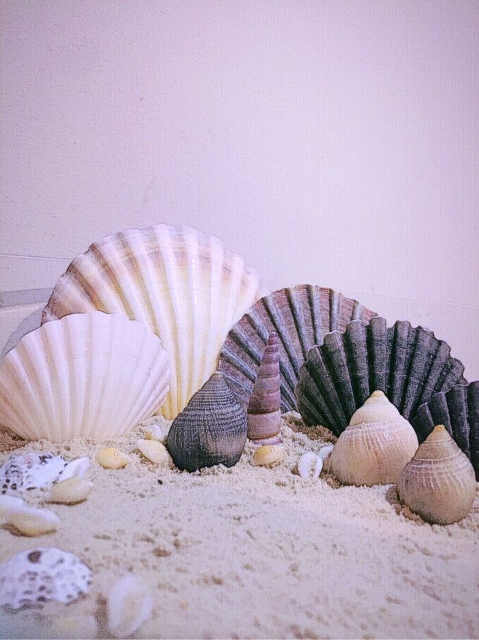 手中沙,海中花