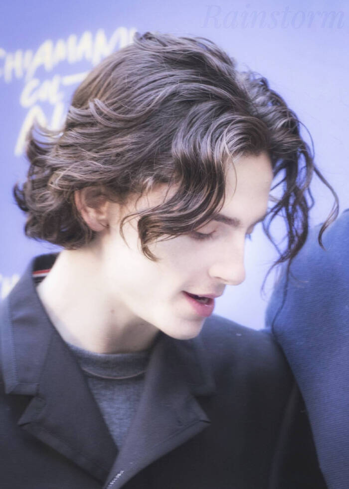 蒂莫西·柴勒梅德timothée chalamet,甜茶,头像,壁纸cr @rainstorm