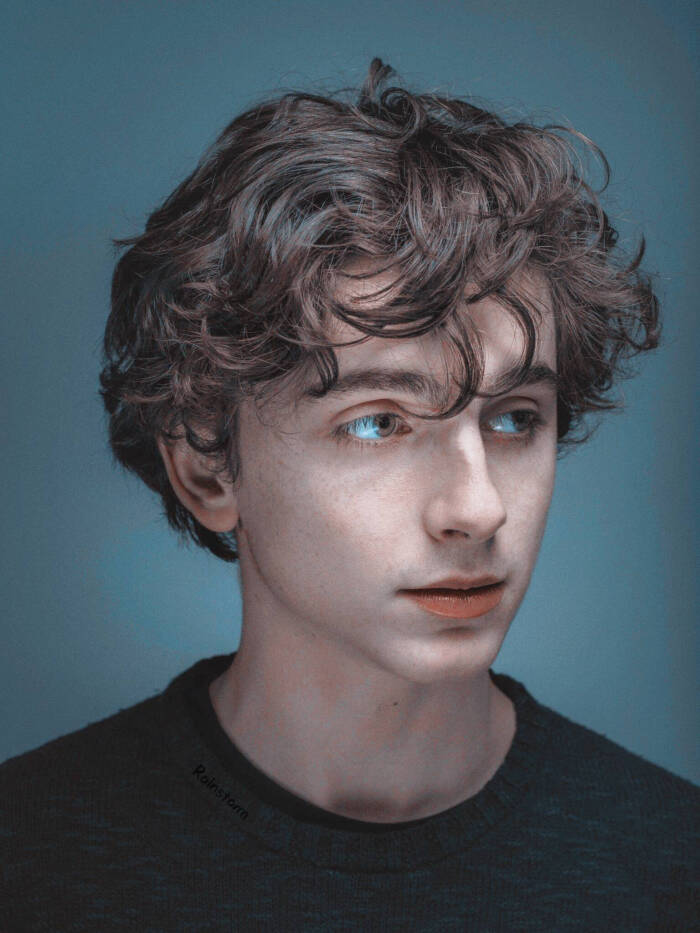 蒂莫西·柴勒梅德timothée chalamet,甜茶,头像,壁纸cr @rainstorm