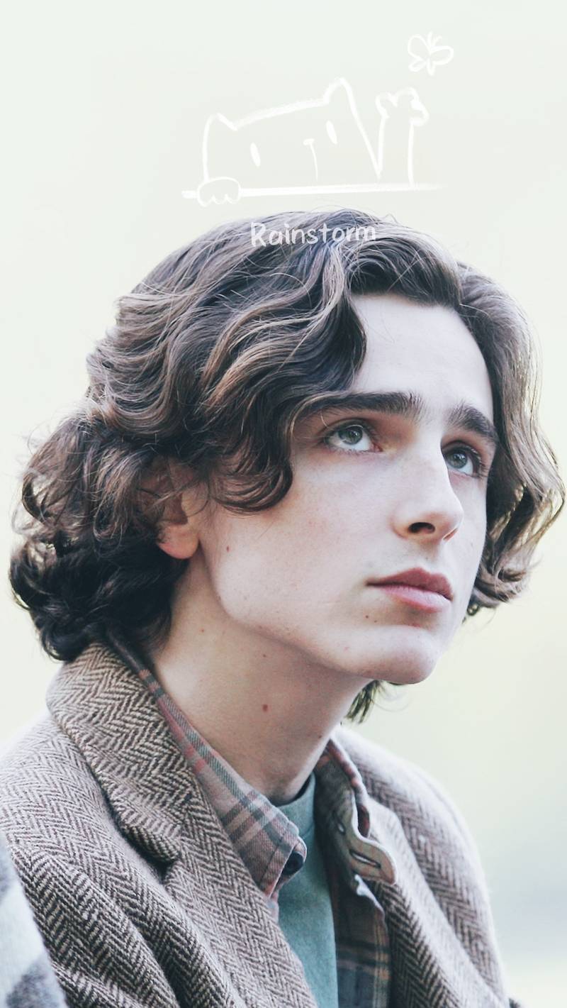 蒂莫西·柴勒梅德timothée chalamet,甜茶,头像,壁纸cr@rainstorm