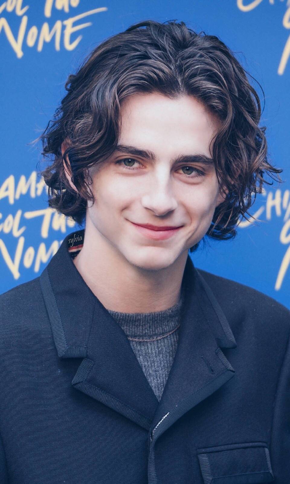 蒂莫西·柴勒梅德timothéechalamet(请以你的名字呼唤我)