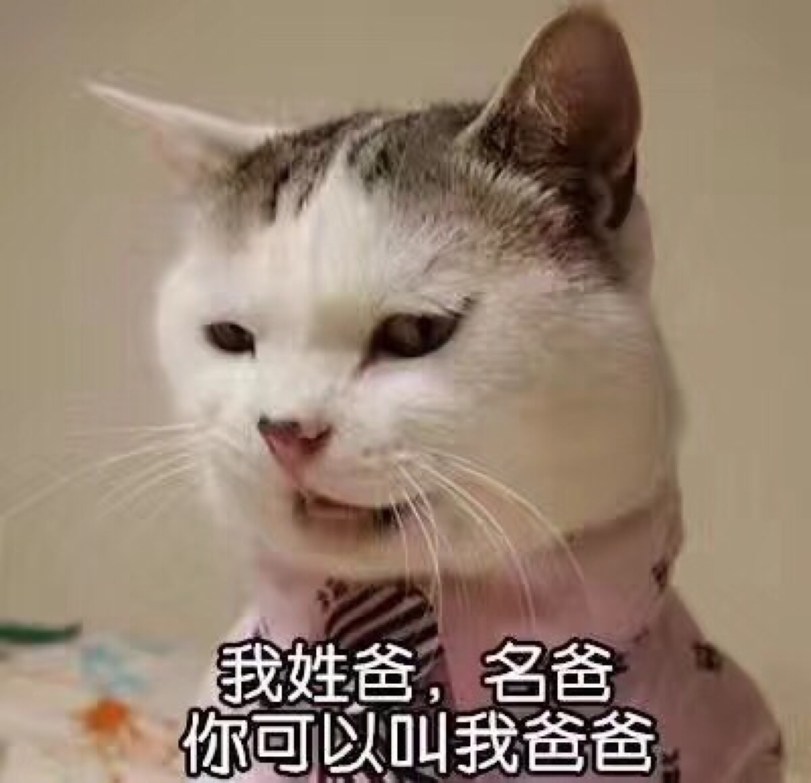 皮一下很开心?